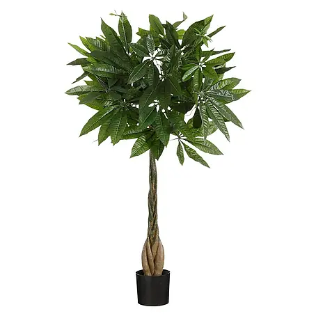 Planta artificial Pachira