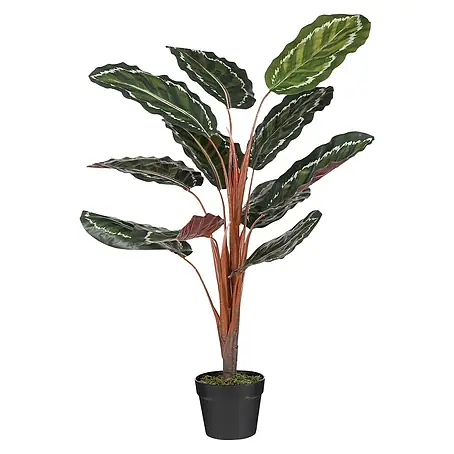 Planta artificial Calathea roseopicta
