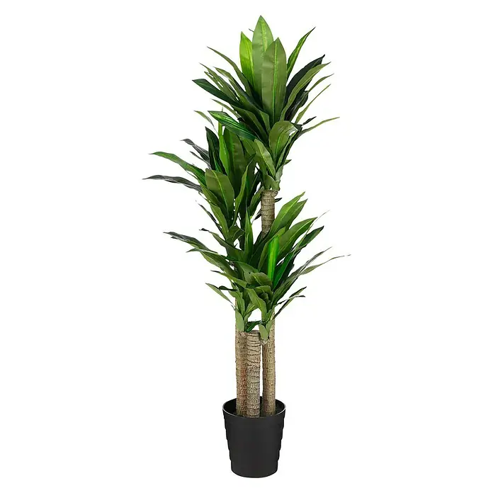 Planta artificial Drácena - Altura: 150 cm, Plástico - Vista frontal