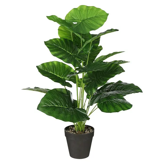 Planta artificial Caladium - Altura: 81 cm, Plástico - Vista frontal