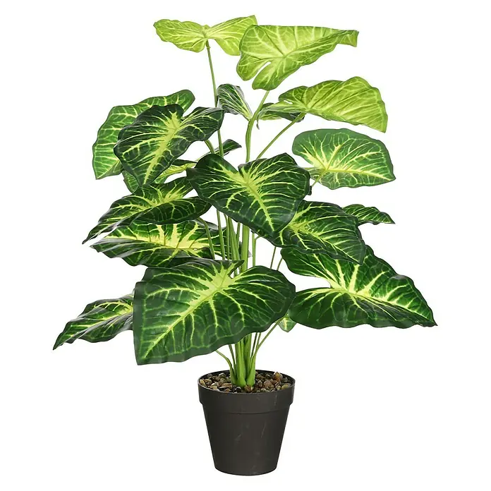 Planta artificial Caladium - Altura: 80 cm, Plástico, Verde - Vista frontal