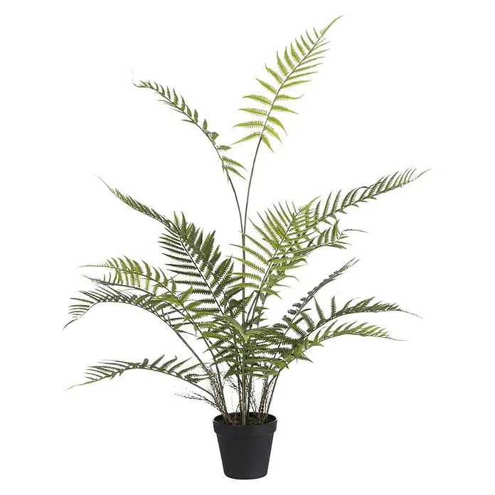 Planta artificial Helecho adiantum - Altura: 91 cm, Plástico - Vista frontal