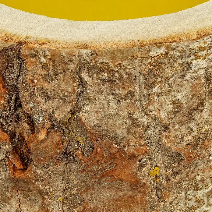 Duftkerze Holzkerzenhalter - Citronella, Gelb, Ø x H: 16 x 7,5 cm - Detailaufnahme