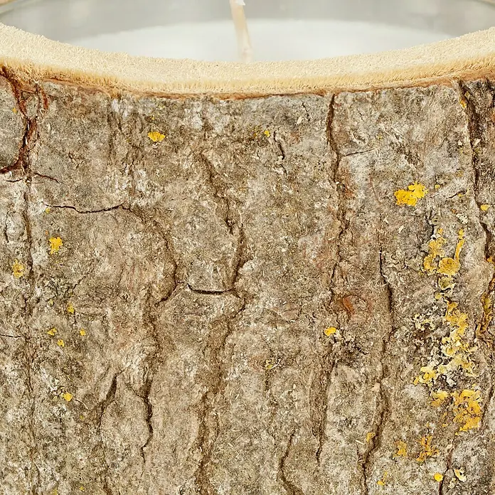 Duftkerze Holzkerzenhalter - Citronella, Weiß, Ø x H: 16 x 7,5 cm - Detailaufnahme