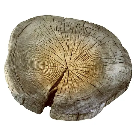 EHL  Trittplatte Baumscheibe