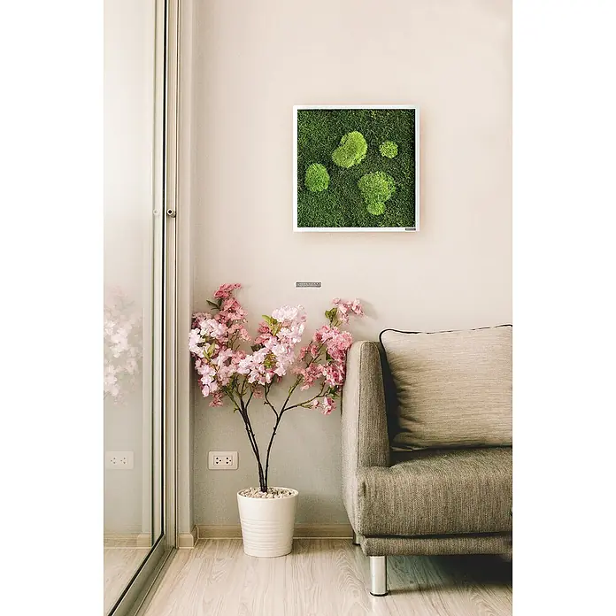 styleGreen Moosbild - 35 x 35 cm - Stimmungsaufnahme