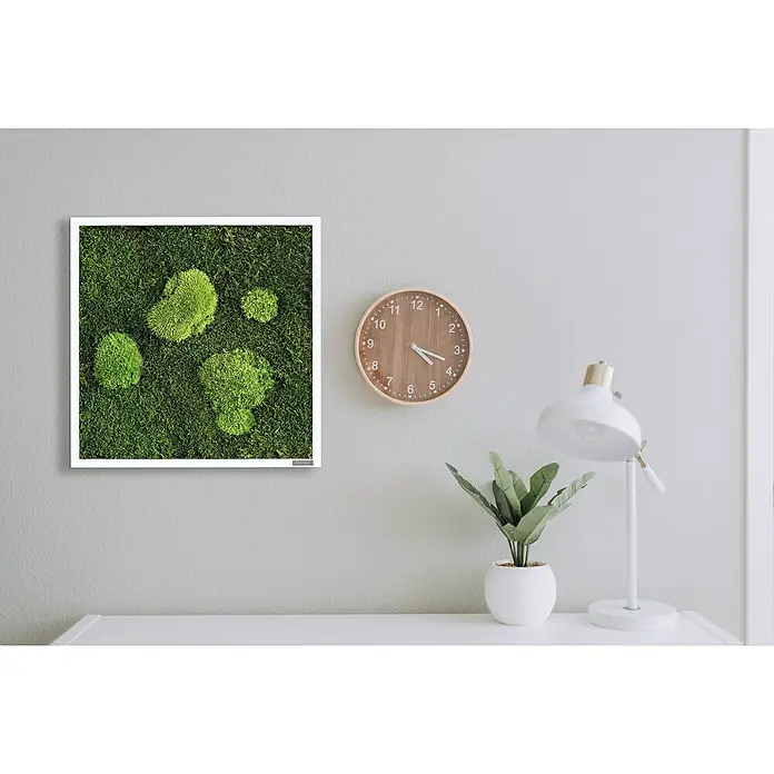 styleGreen Moosbild - 35 x 35 cm - Stimmungsaufnahme