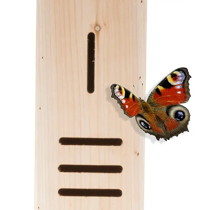 Hotel para insectos - 14,5 x 10 x 160 cm, Natural - Primer plano