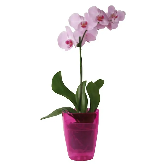Tegla za orhideju - Plastika, Crvene boje - Pogled sprijeda