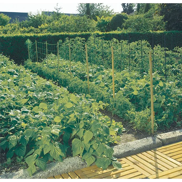 Nortene Rešetkasta potpora Trellinet - 1,7 x 10 m - Živopisni prikaz