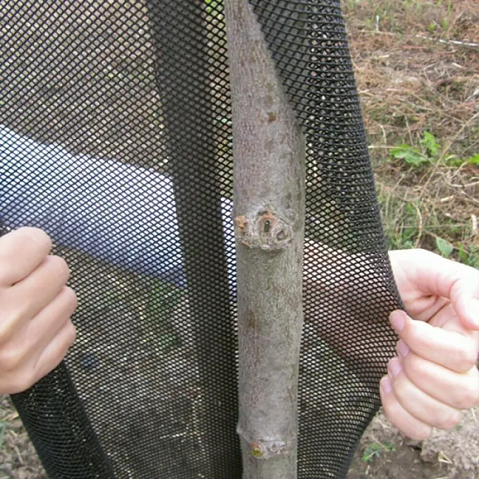 Zaštitna mreža za stabla Treex - 8 x 55 cm, Crne boje - Proizvod u upotrebi
