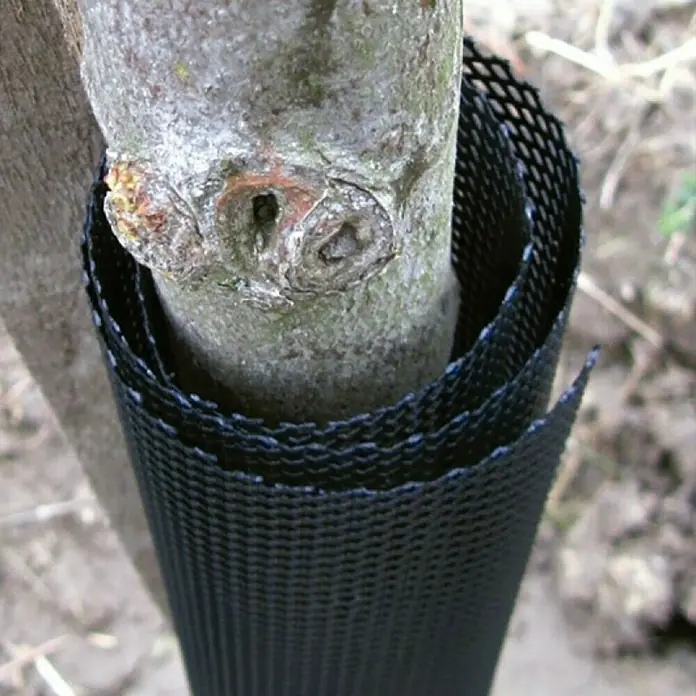 Zaštitna mreža za stabla Treex - 8 x 55 cm, Crne boje - Živopisni prikaz