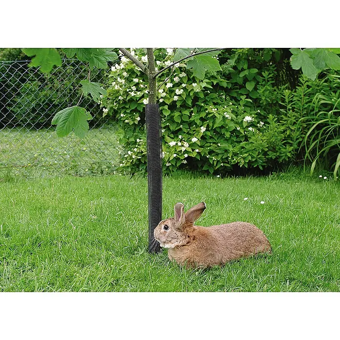 Zaštitna mreža za stabla Treex - 8 x 55 cm, Crne boje - Živopisni prikaz