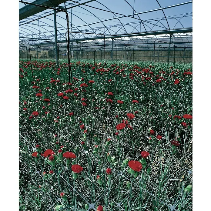 Naturen Rešetkasta potpora - 1,2 x 20 m - Detaljan prikaz