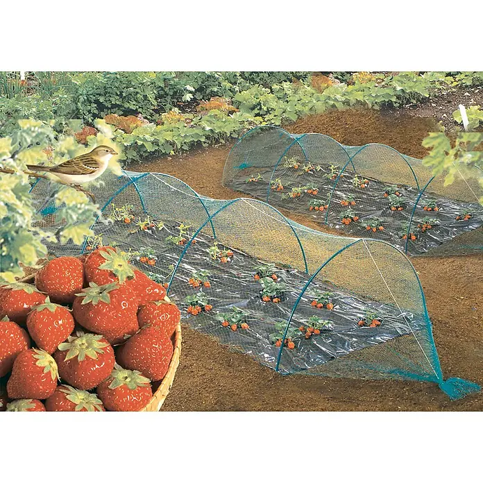 Nortene Zaštita od ptica - 20 m x 2 cm - Živopisni prikaz