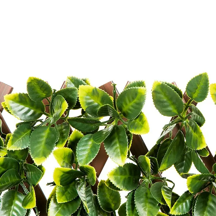 Nortene Ukrasna rešetkasta ograda - D x Š: 1 x 3 m, Vrba, Zeleno-žute boje - Detaljan prikaz