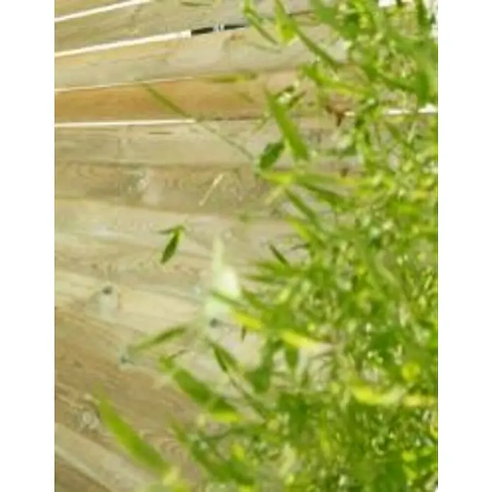 Forest-Style Poste para cercado en V - Altura: 200 cm, Natural, Madera - Foto ambiente