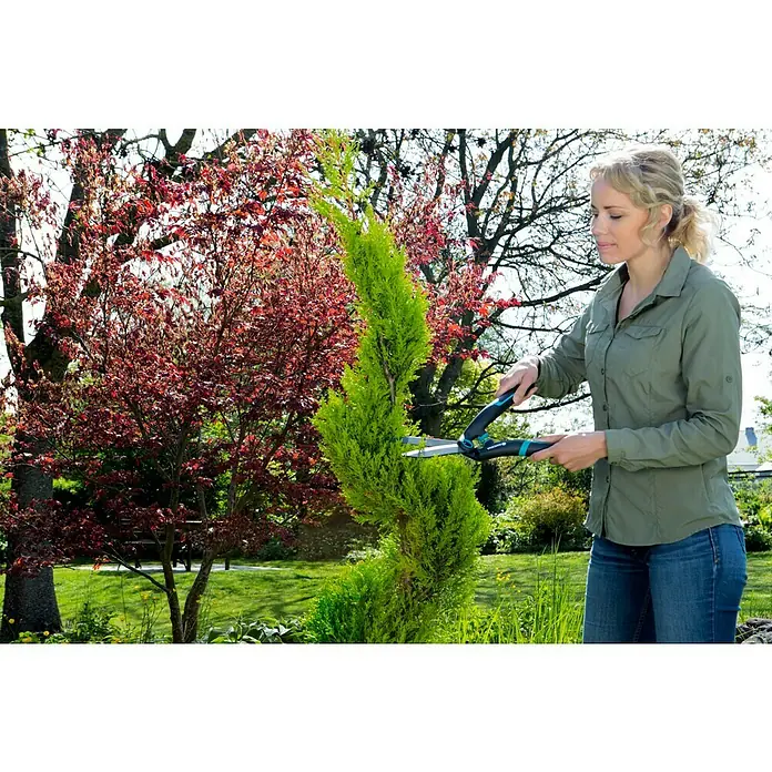 Gardena Heggenschaar PrecisionCut - Klinglengte: 18 cm, Antikleefcoating - Toepassingsvoorbeeld