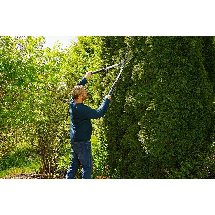 Gardena Telescopische heggenschaar TeleCut - Klinglengte: 23 cm, Antikleefcoating - Toepassingsvoorbeeld