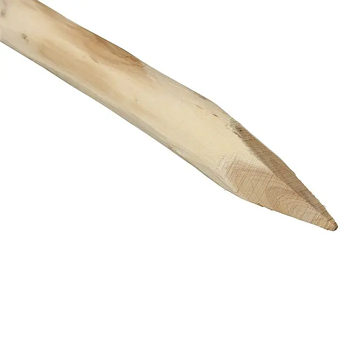 Kiehnholz Zaunpfahl - Natur - Detailaufnahme