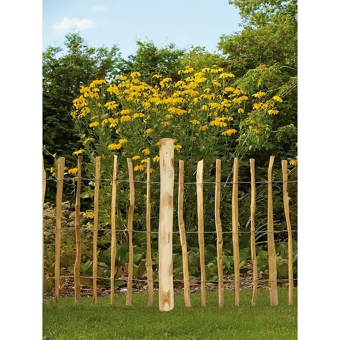 Kiehnholz Zaunpfahl - Natur - Stimmungsaufnahme