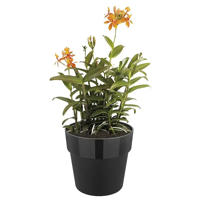 Maceta para planta Original mini - Dimensiones externas (Ø x Al): 12,5 x 12 cm, Plástico, Negro - Vista frontal