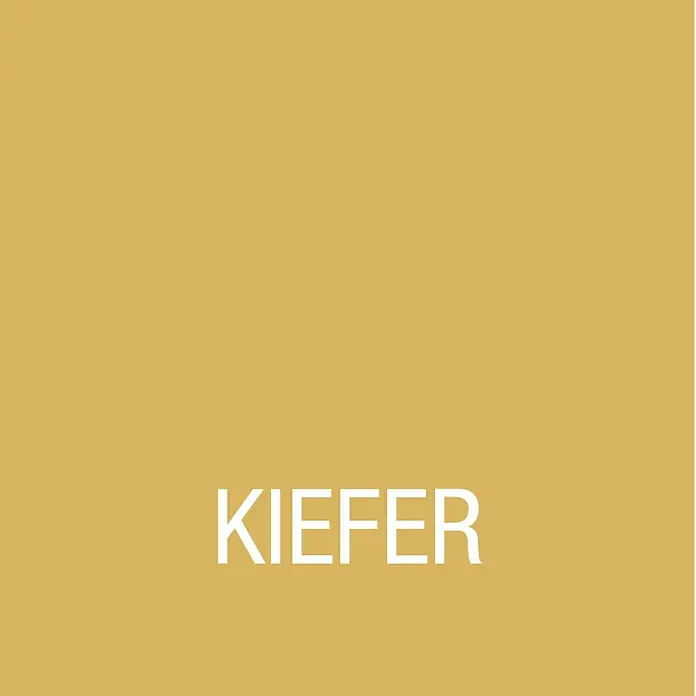 Bondex Holzpaste - Kiefer, 120 g - Detailaufnahme