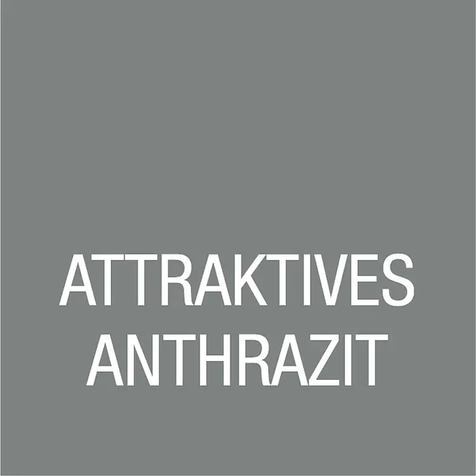 Bondex Holzlasur Garden Colors - Attraktives Anthrazit, 750 ml, Seidenmatt - Detailaufnahme