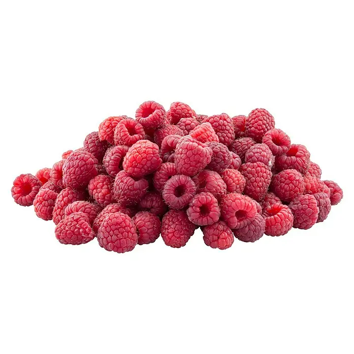 Piardino Himbeere Tulameen - Rubus ideaus 'Tulameen', Erntezeit: Juli - September - Vorderansicht