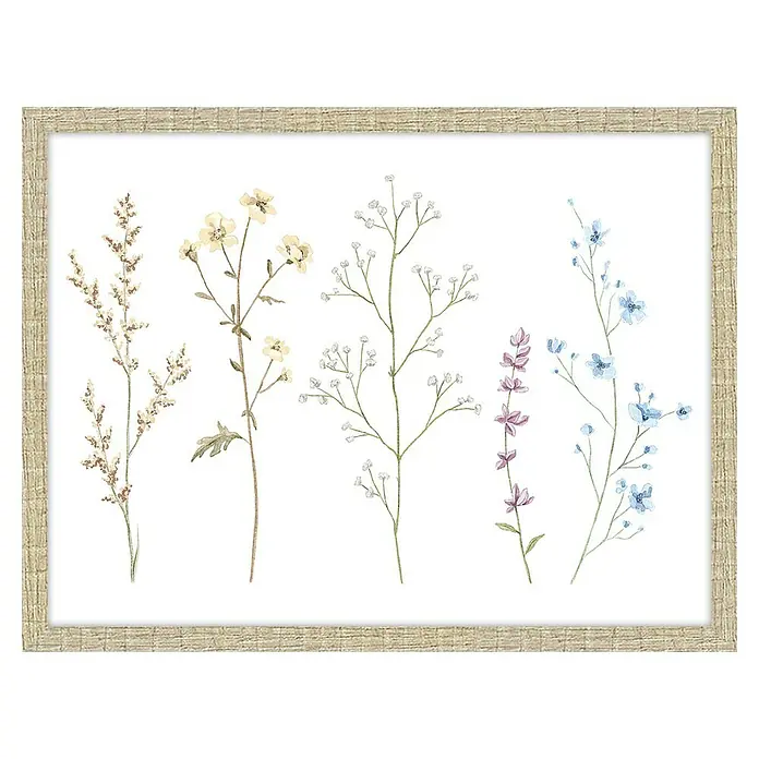Cuadro enmarcado Flores secas - Vegetación, An x Al: 40 x 30 cm - Vista frontal