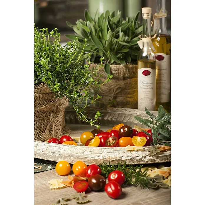 Piardino Tomate - Solanum lycopersicum, 14 cm, Erntezeit: Juli - Oktober - Stimmungsaufnahme