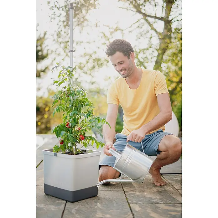 Gusta Garden Pflanztopf Tom Tomato - 28 x 35 x 136 cm, Ausstattung: Bewässerungssystem - Anwendungsbeispiel