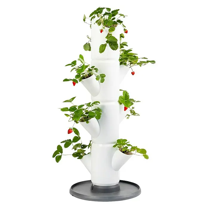Gusta Garden Pflanzturm Sissi Strawberry Starter - 27 x 32 x 77 cm, Weiß - Vorderansicht