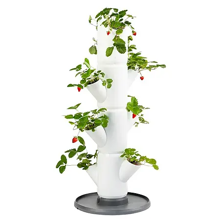 Gusta Garden  Pflanzturm Sissi Strawberry Starter