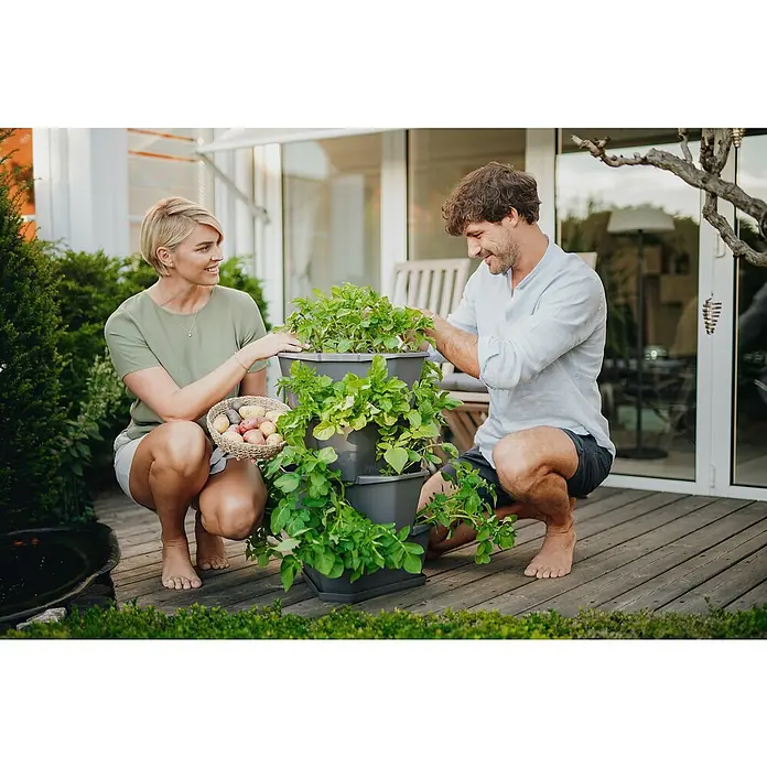 Gusta Garden Pflanzturm Paul Potato - 44 x 44 x 65 cm, Anthrazit - Anwendungsbeispiel