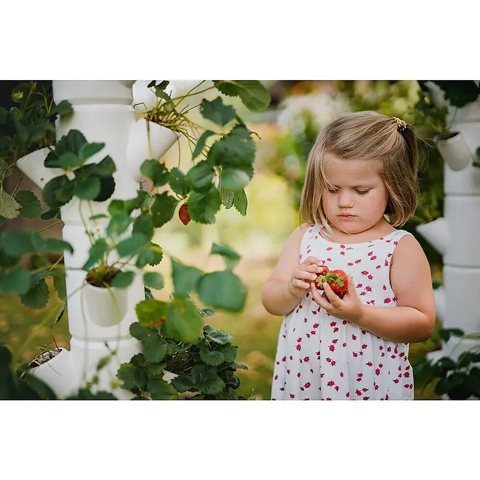 Gusta Garden Pflanzturm Sissi Strawberry Starter - 27 x 32 x 77 cm, Weiß - Anwendungsbeispiel