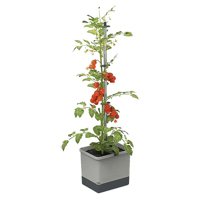 Gusta Garden Pflanztopf Tom Tomato - 28 x 35 x 136 cm, Ausstattung: Bewässerungssystem - Vorderansicht