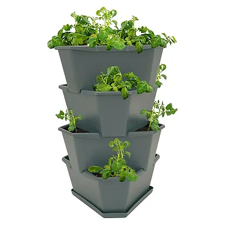 Gusta Garden  Pflanzturm Paul Potato