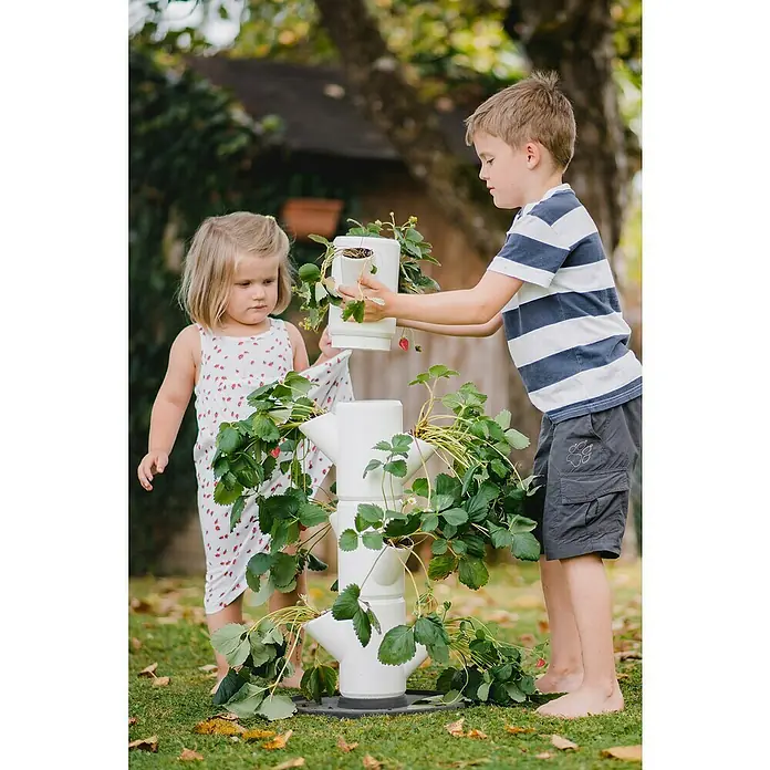 Gusta Garden Pflanzturm Sissi Strawberry Starter - 27 x 32 x 77 cm, Weiß - Anwendungsbeispiel
