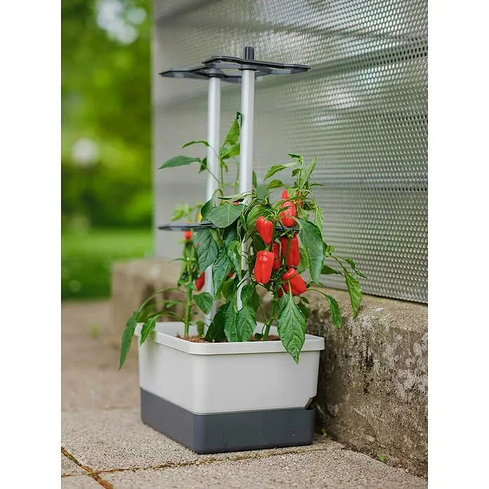 Gusta Garden Pflanztopf Charly Chili - 28 x 35 x 69 cm, Ausstattung: Bewässerungssystem - Stimmungsaufnahme
