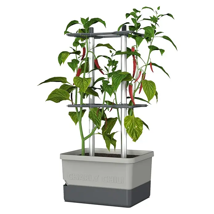 Gusta Garden Pflanztopf Charly Chili - 28 x 35 x 69 cm, Ausstattung: Bewässerungssystem - Diagonale Ansicht