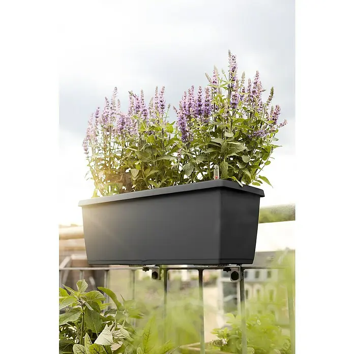 Poétic Pflanzkasten My City Garden - Außenmaß (L x B x H): 50 x 20 x 18 cm, Kunststoff, Granit - Stimmungsaufnahme