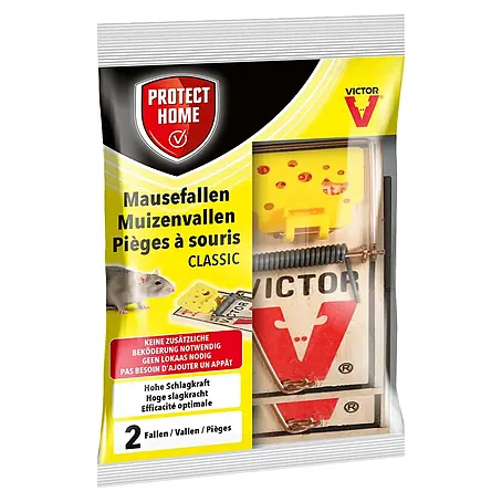 Protect Home Muizenval