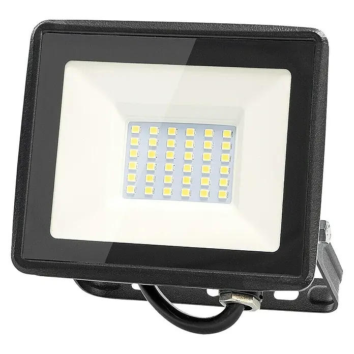 Garza Proyector LED Basic - 30 W, L x An x Al: 2,5 x 12,5 x 11,9 cm, Blanco neutro - Vista angular