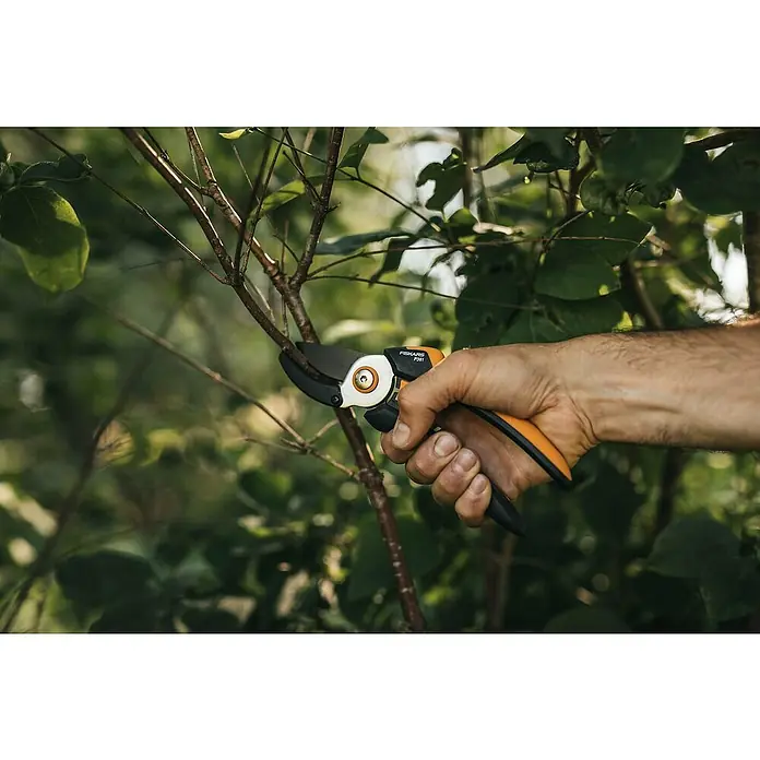 Fiskars Solid Gartenschere P361 - Amboss, Max. Aststärke: 20 mm - Anwendungsbeispiel