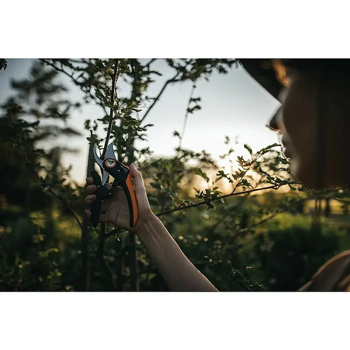 Fiskars Plus Gartenschere P721 - Bypass, Max. Aststärke: 24 mm - Anwendungsbeispiel