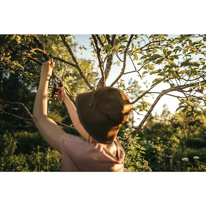 Fiskars Plus Gartenschere P721 - Bypass, Max. Aststärke: 24 mm - Anwendungsbeispiel