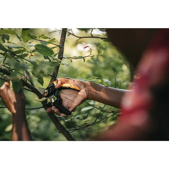 Fiskars Plus Gartenschere P721 - Bypass, Max. Aststärke: 24 mm - Anwendungsbeispiel