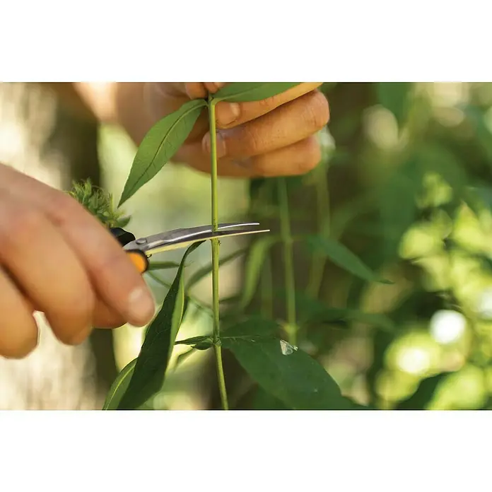Fiskars Solid Gartenschere Micro-Tip SP160 - Gebogen, Länge: 17,1 cm - Anwendungsbeispiel