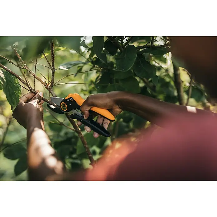 Fiskars Plus Gartenschere PowerLever P741 - Amboss, Max. Aststärke: 24 mm - Anwendungsbeispiel